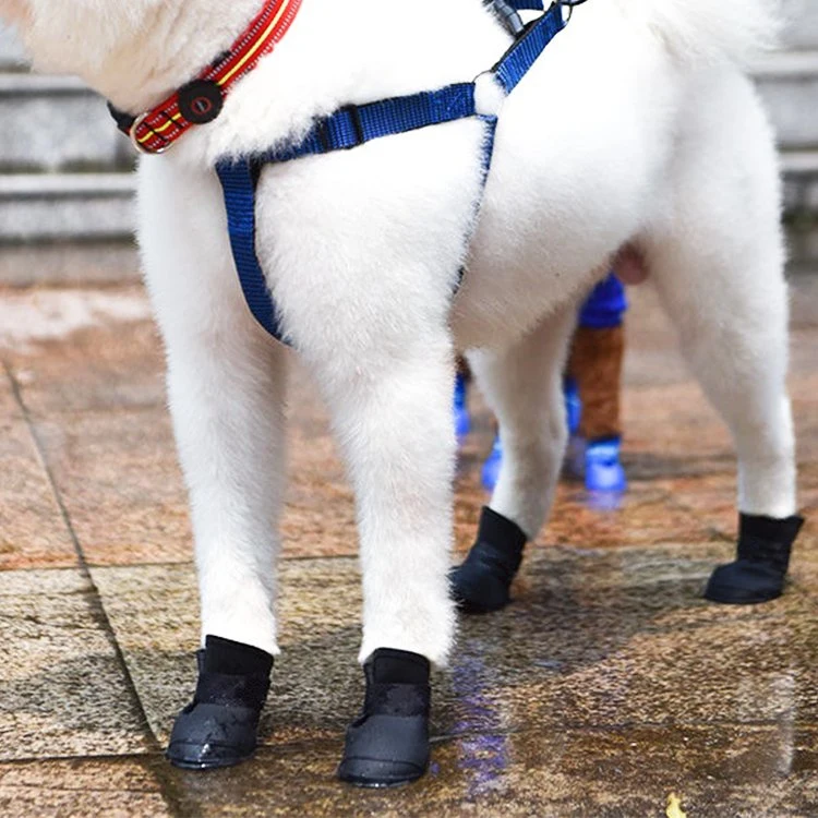 À prova de cão de chuva e sapatos de neve