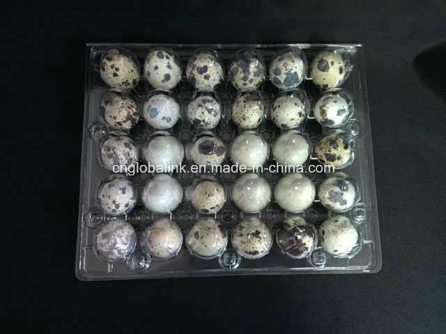 Clamshell Bilster Einweg-Kunststoff-Wachtel Egg Pack 30 Slots