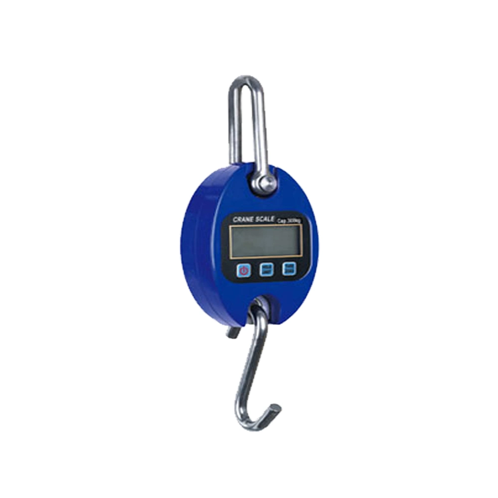 Portable Digital Small Weighing Crane Scale