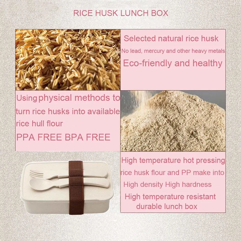 Eco-Friendly Rice Husk Fiber and PP Bento Box Lunch Food Container/Kid Lunch Box