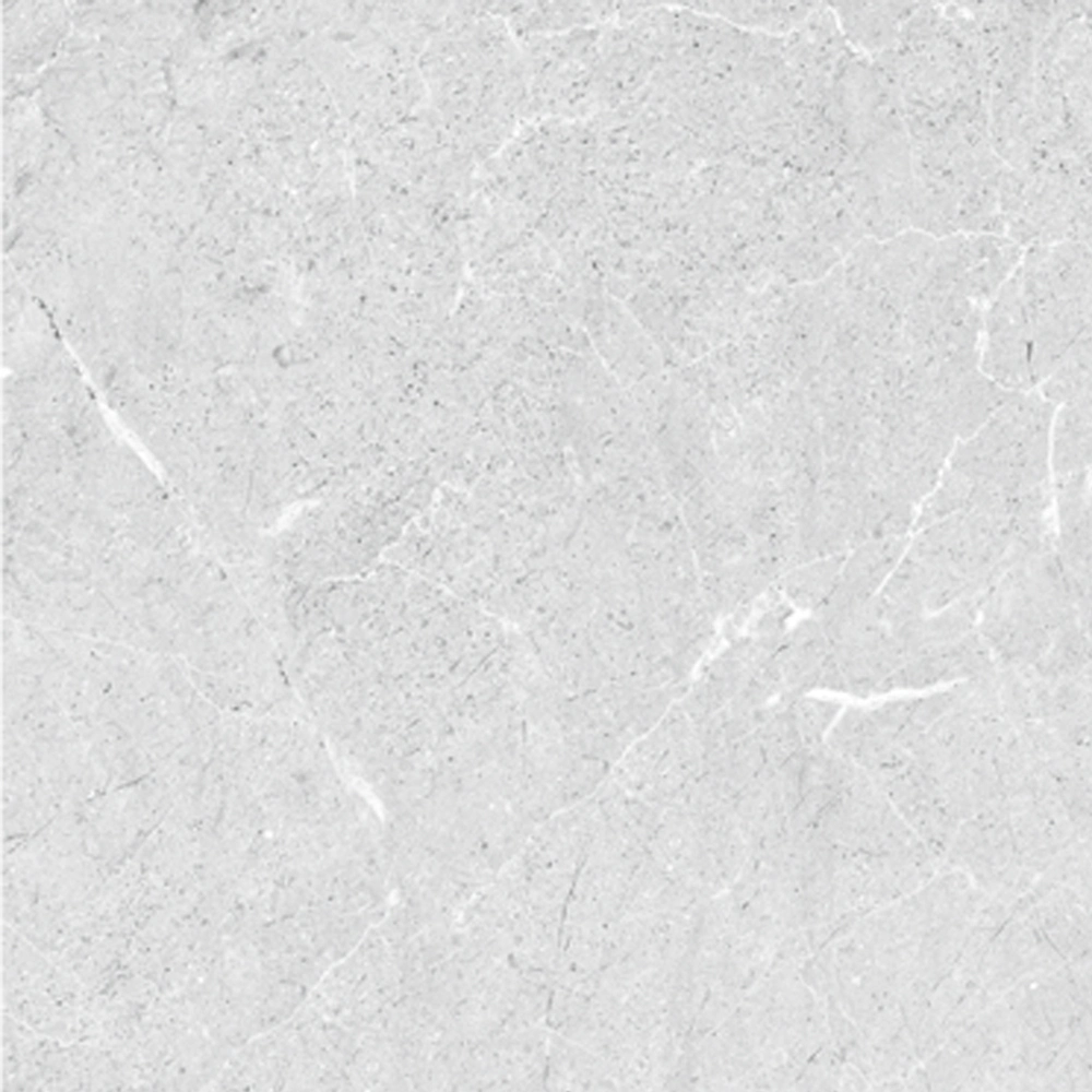 Extérieur Porcelanato 60X60 béton de porcelaine Té mat brut vitrifié Gris mat