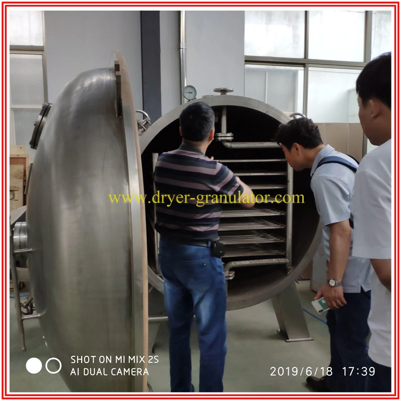 Pharmaceutical Vacuum Drying Machine for Health Care Medicine, Herb Extract, Chemical, Fruit, Vegetable