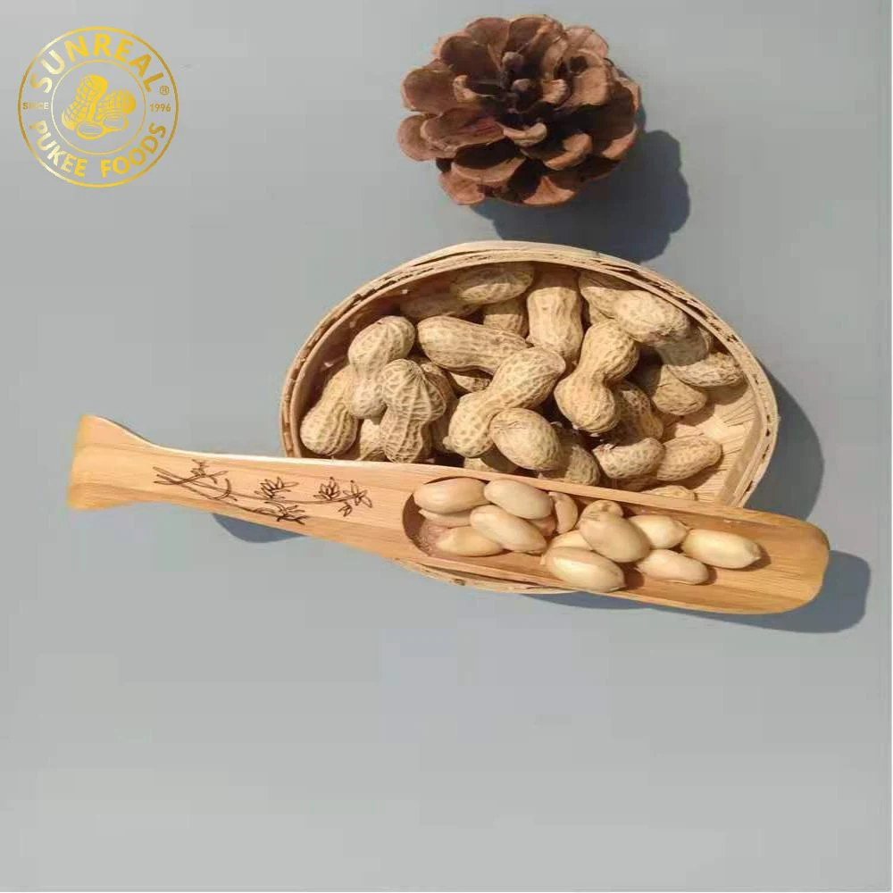 Raw Java Peanut in Shell/Superior Quality From China Snacks Food