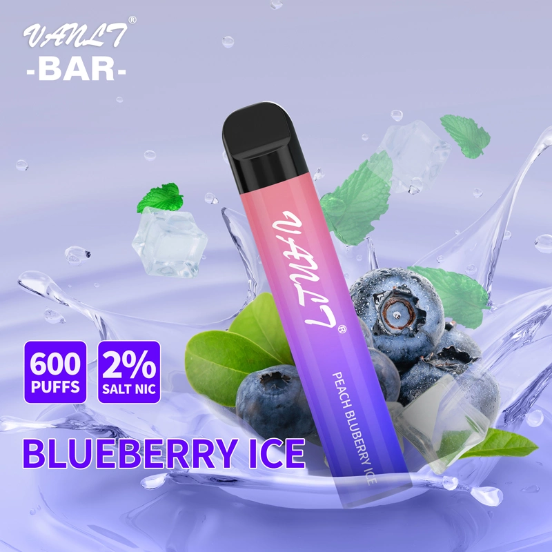 Großhandel/Lieferant Einweg-Vape Pen 600 Puff Custom Logo Shisha Pen Elektrischer Hookah mit CE RoHS FCC-Zertifizierungen