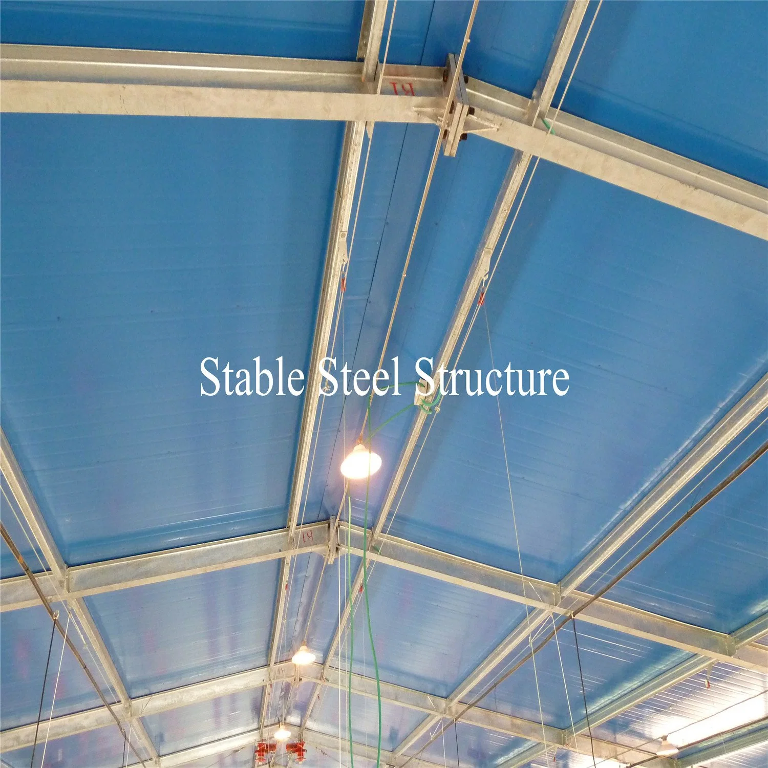 Prefabricated Steel Structure Poultry Farms Breeding House Metal Construction Hangar Hall Building for Chicken Farming