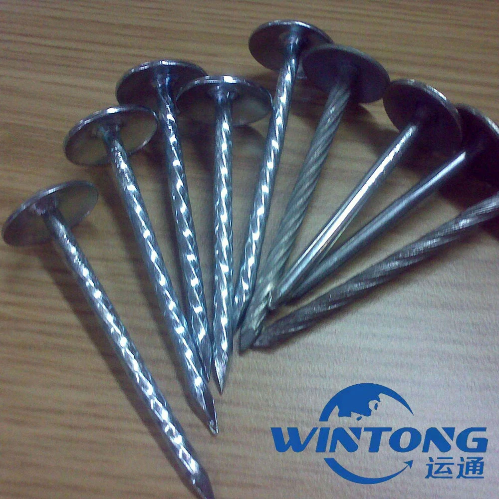 Galvanized Roofing Nail/Wire Nail with High quality/High cost performance  and Competition Price