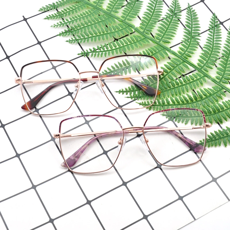 Wenzhou Higo Eyewear 2023 Dernières Lunettes en Acier Inoxydable pour Femmes Modèle