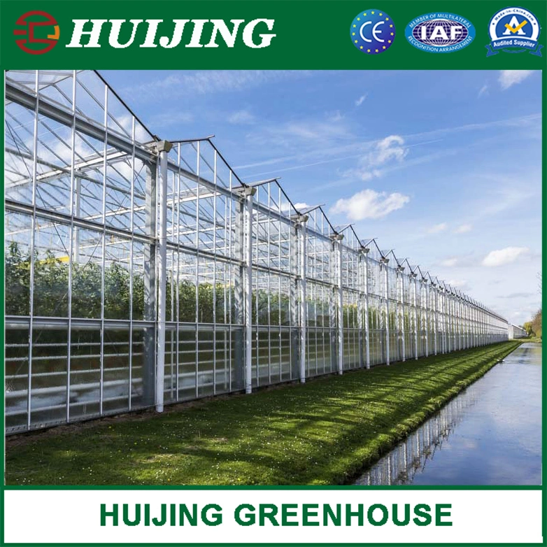 Great Performance Glass Greenhouse for Vegetables/Fruits/Flowers