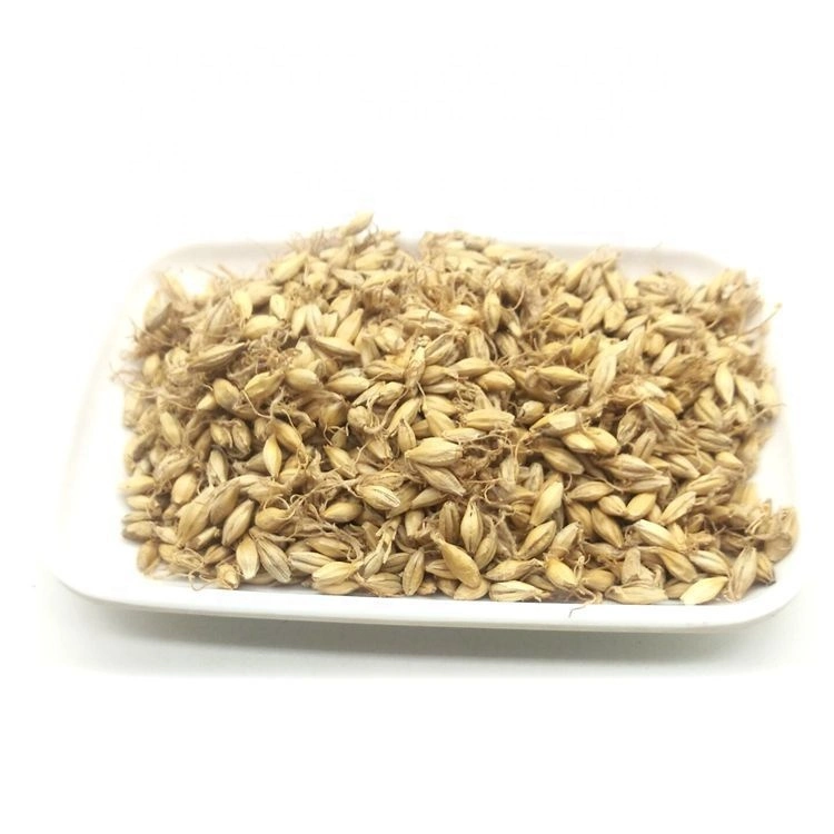 Bulk Supply Malt Mai Ya Lose Weight Tea Fructus Hordei Germinatus