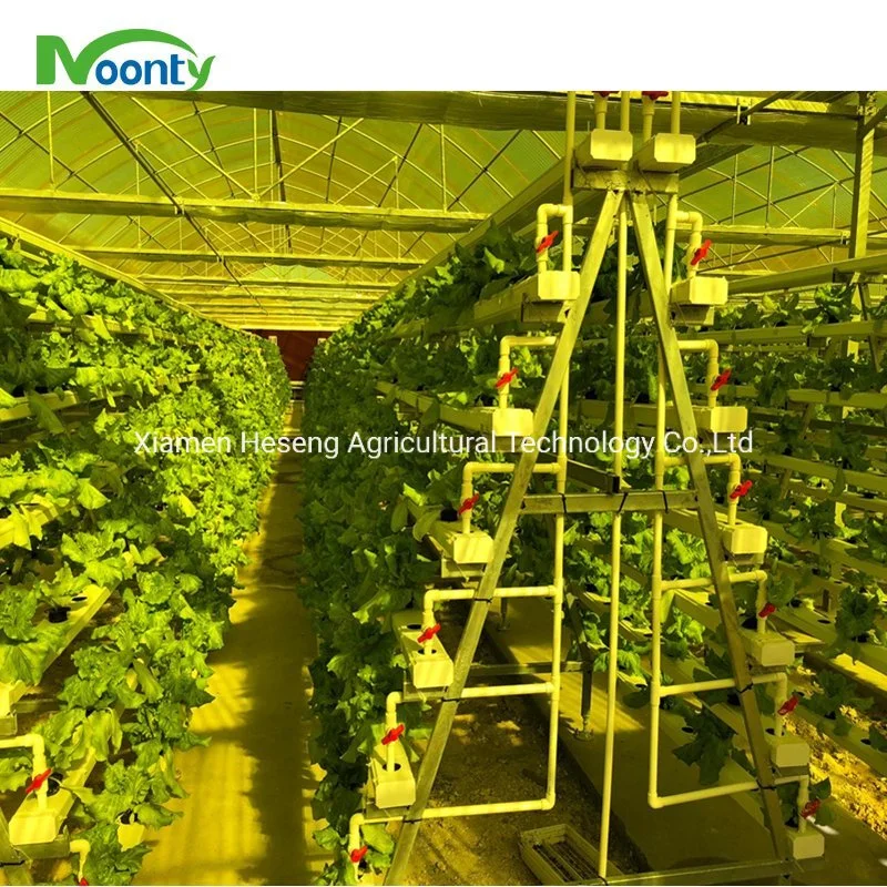 Projeto Turnkey Policarbonato Agrícolas Estufa com sistema de irrigação em hidroponia para tomate/Alface/Morango/berinjela