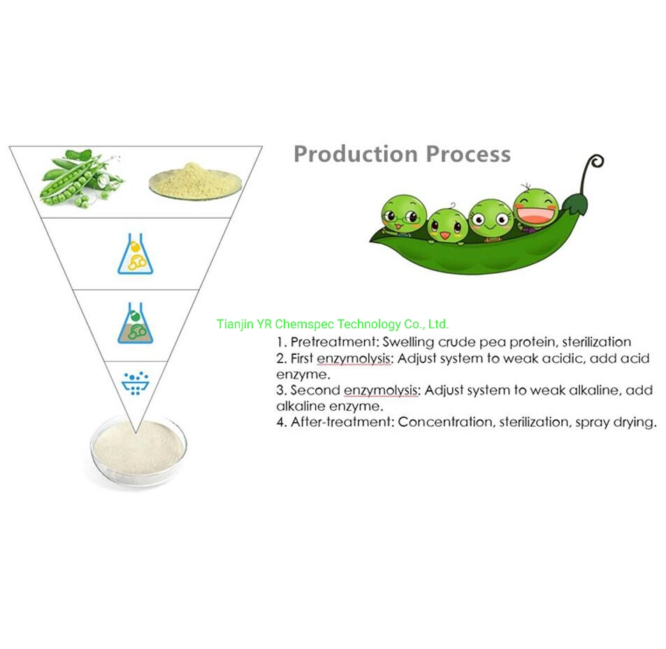 ملحق التجميل Premium Multi Collagen المكون من مسحوق Peptide