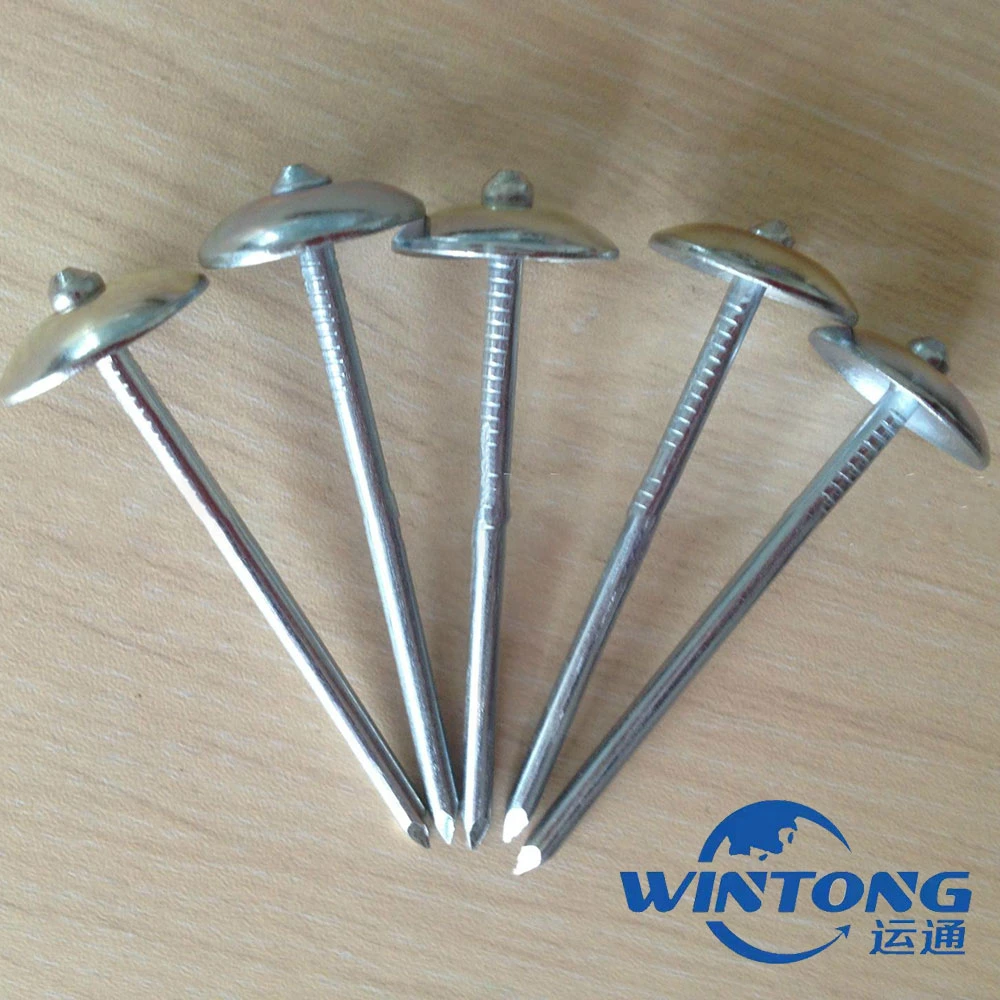 Alambre de acero galvanizado/tornillo y tuerca /Q195/0,8-4,0 pulgadas/hormigón/clavos