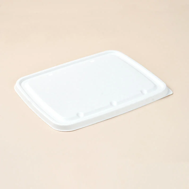 Biodegradable Square Eco-Friendly Compostable Pulp Food Plates Tray