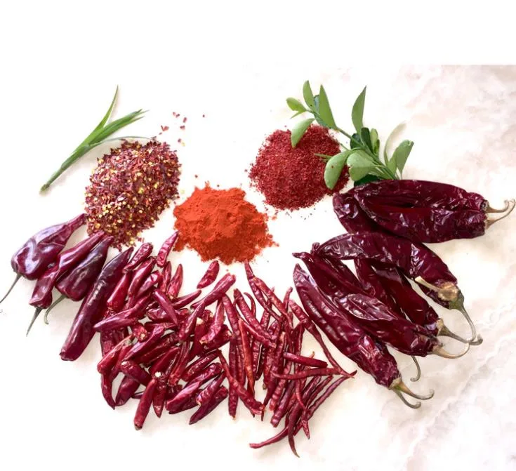 Hot Sell Red Pepper Jinta Chilli with Best Quality / Xinglong / Chilli / Dry Red Pepper