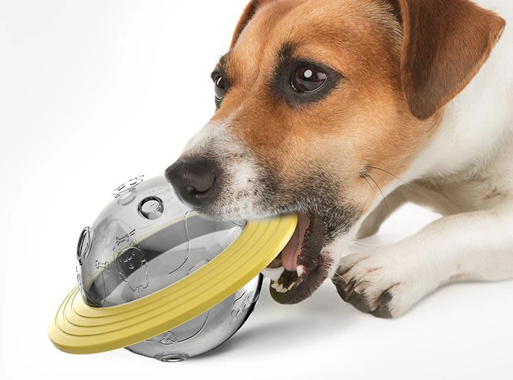 جديد الوصول كلب منتج البلاستيك الكلب Toys اللون الأخضر الأصفر