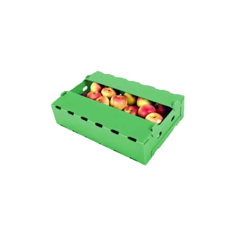 Cajas de plástico corrugado para Frutas y Verduras Embalaje plástico corrugado Caja de espárragos