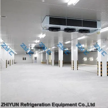 Customizable Temperature Cold Storage Air Cooler Latest Industrial Refrigerators for Ice Storage