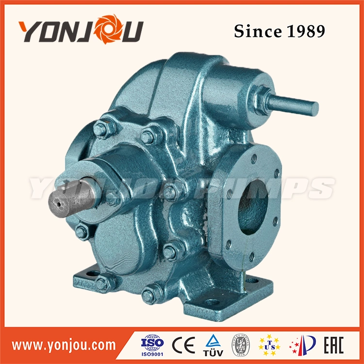 Yonjou Electric Diesel Fuel Pump