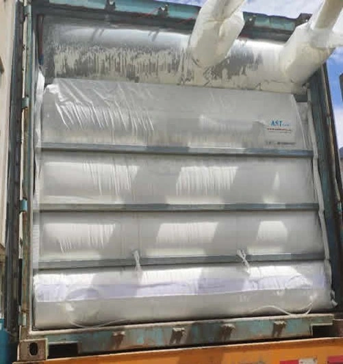 Good Quality Container Liner/ Sea Bulk Liner for Shipping Container for Seed, Flour