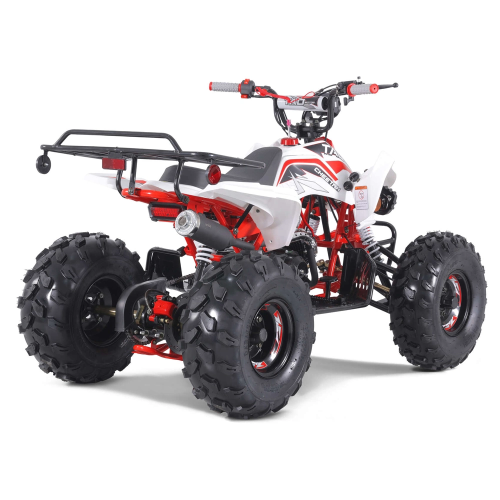 2023 New Design Automatic Chain Drive Motorbike Quad Bike Sport 125cc ATV