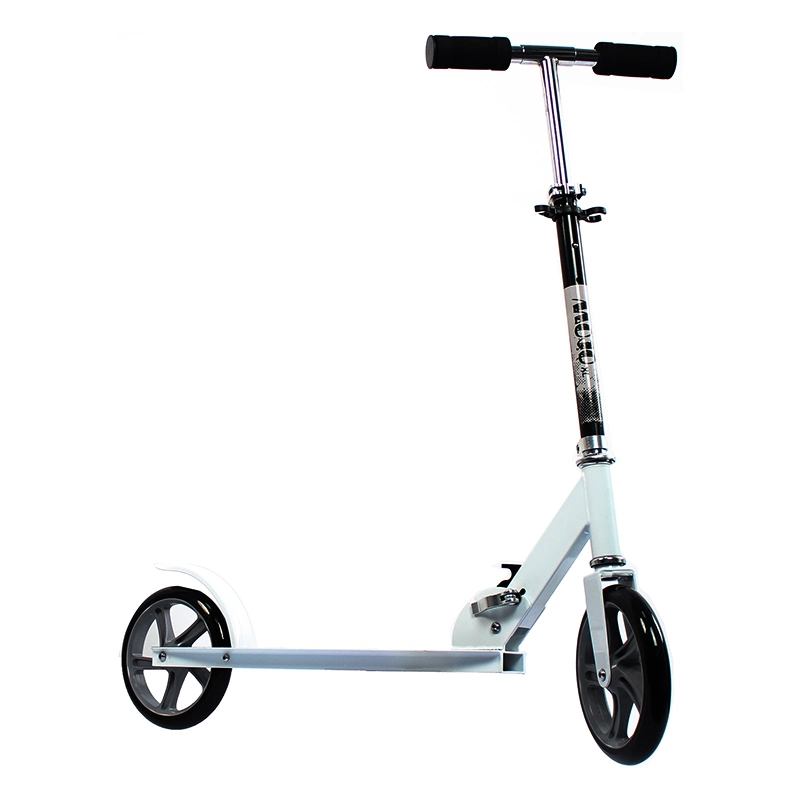 Big Wheel Mini Kick Scooter 2 Wheel Kick Bike for Adults and Child Factory Hot Sale Kids Gift