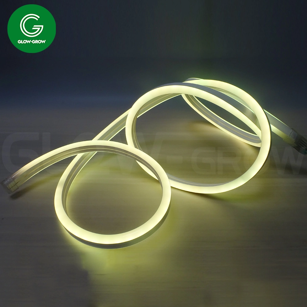 ETL UL 10*20mm 80LEDs/M 5050 RGB Sync Strip Light LED Neon Flex Light Forlandscape Building Lighting Wedding Holiday Party Decoration