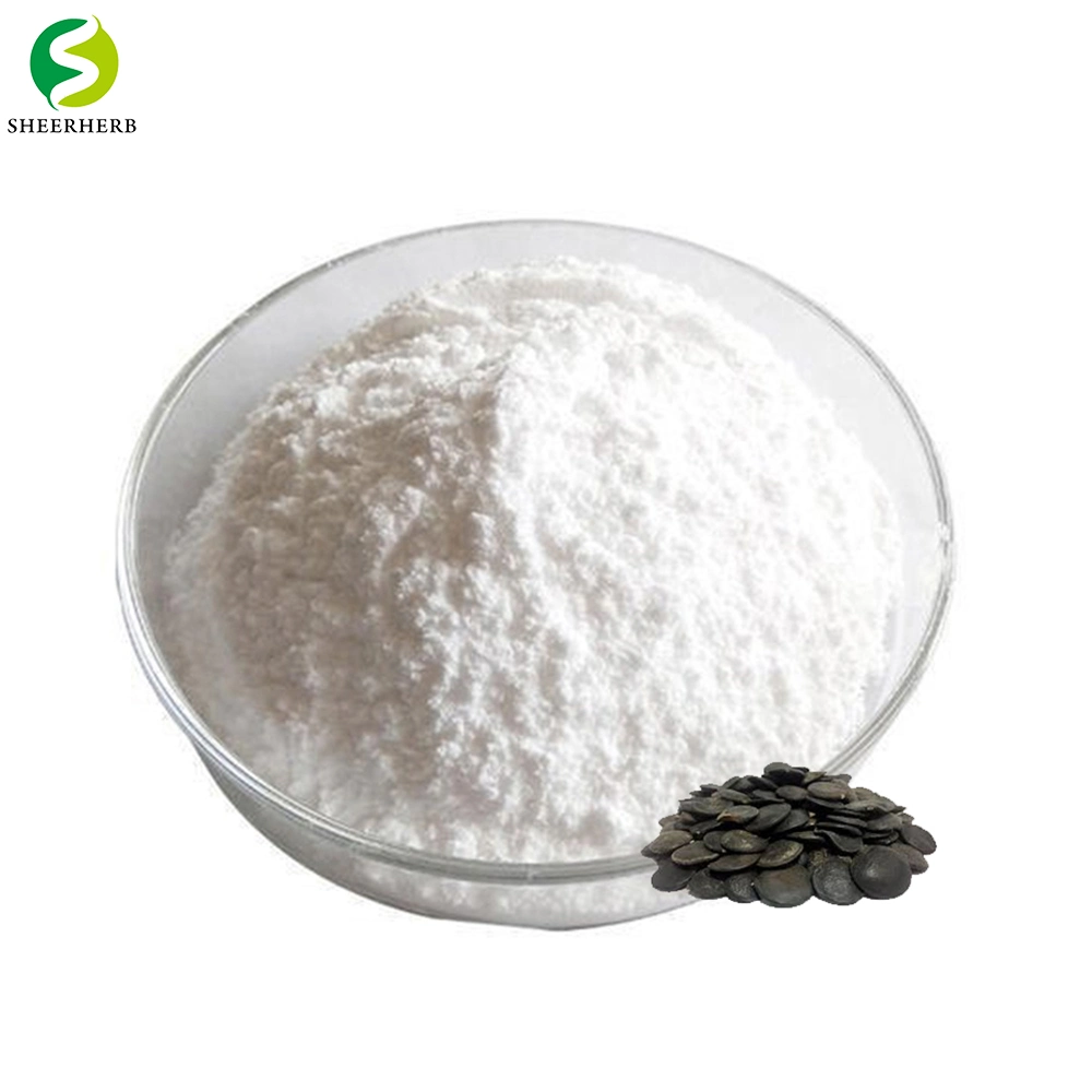 Supply Food Grade Griffonia Seed Extract 5-Htp Powder