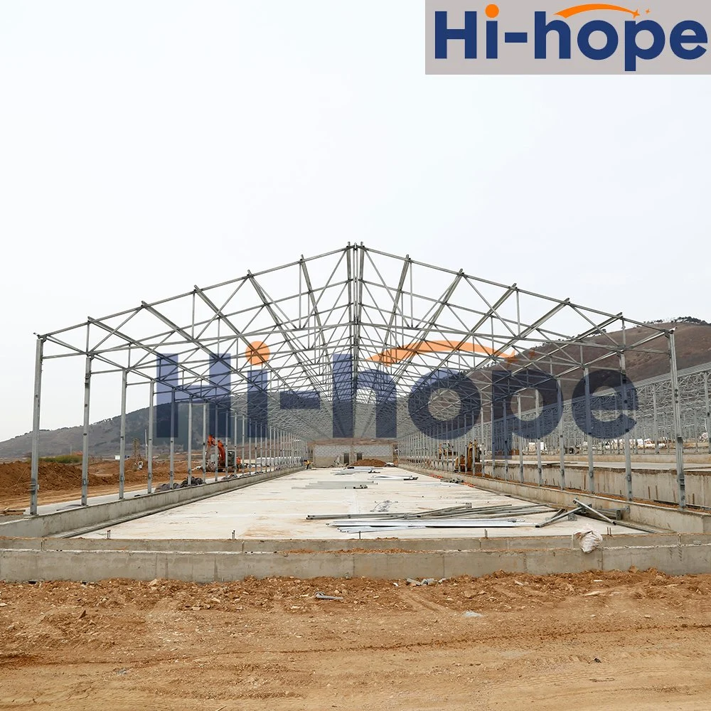 Designed Factory Price Chicken Shed Light Steel Building for Poultry Farming