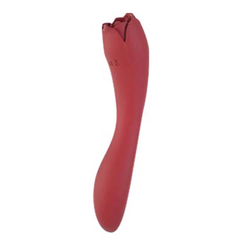 Hot Sale Adult Toys Handheld Vibrating Female Rechargeable Rabbit Vibrators Sex Toy Women