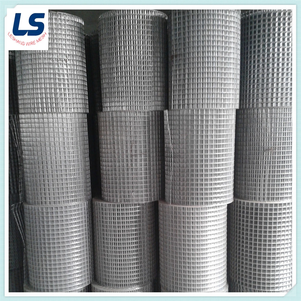 Hengshui Factory Welded Wire Iron Mesh/ Galvanized Welded Wire Mesh