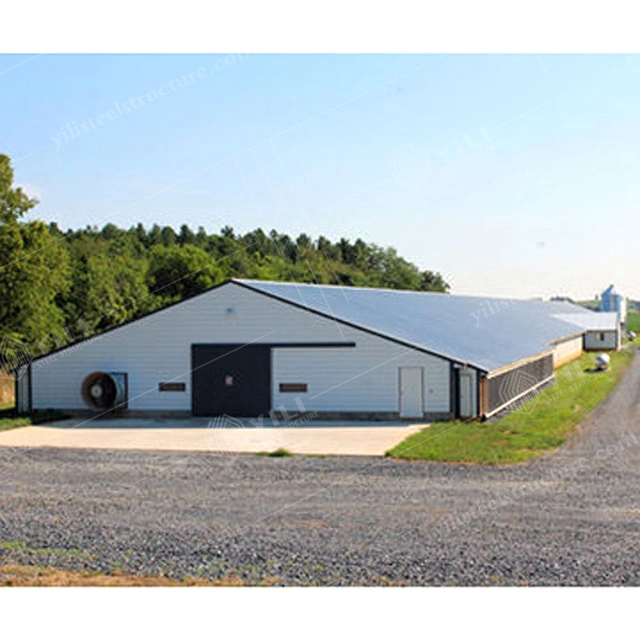 Multi Span Steel Structral Pig Farm House Poultry Hosue Chicken House