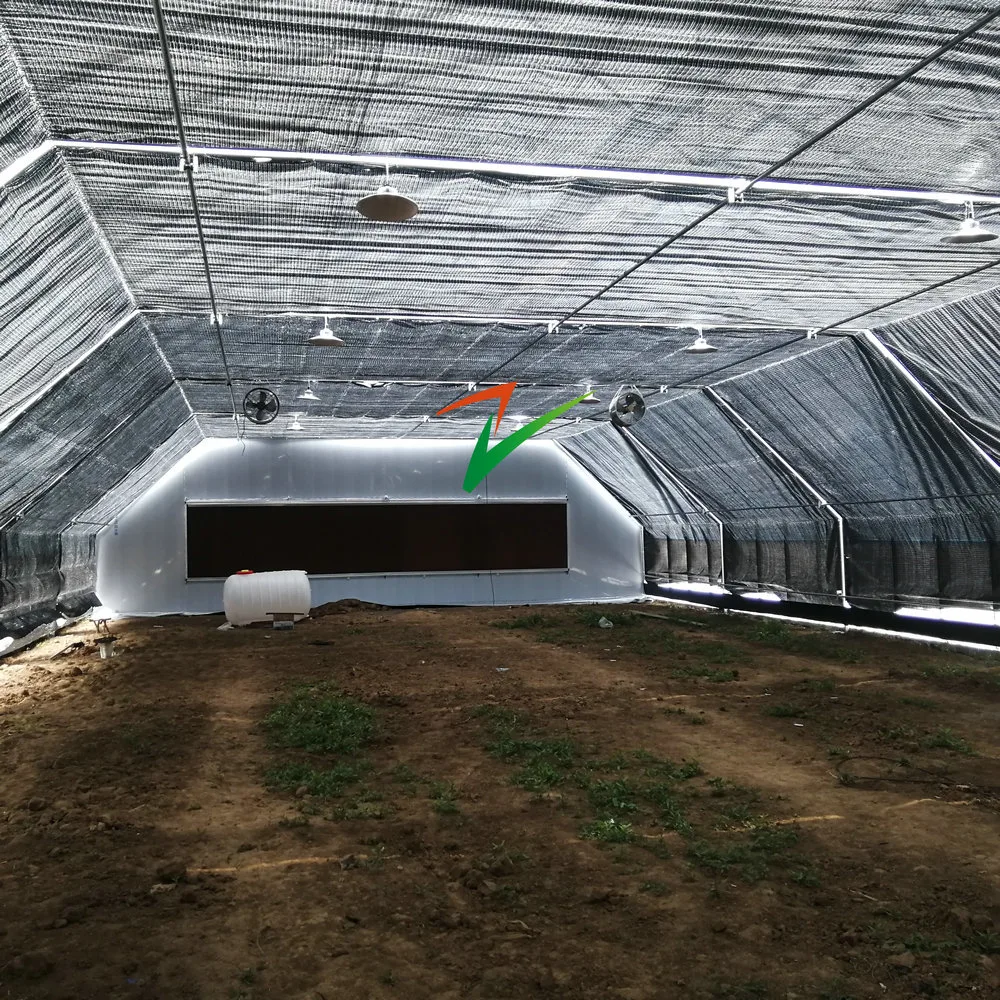 100% Automatic Blackout Light Deprivation Greenhouse Single/Multi-Span Film/ Polycarbonate PC Sheet Greenhouse