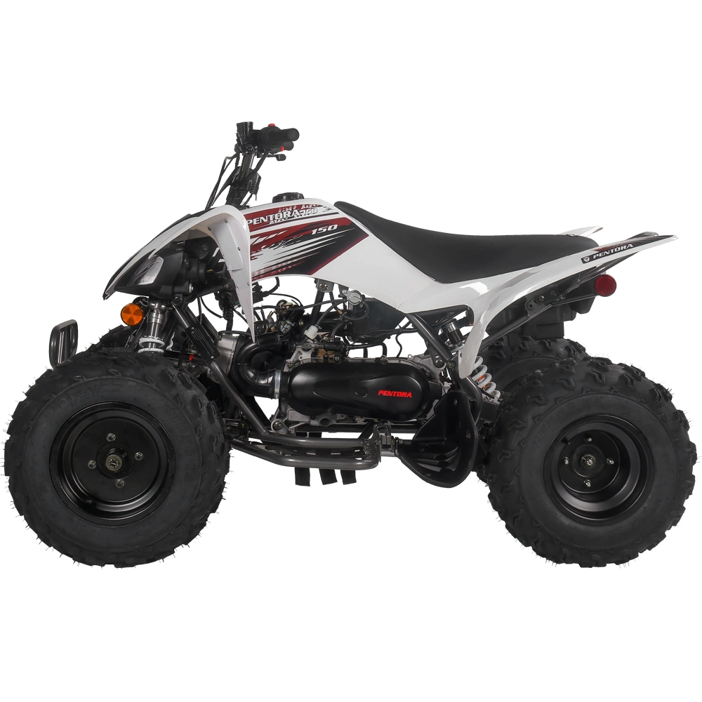 Four Stroke 125cc ATV off Road Sport Quad Bike