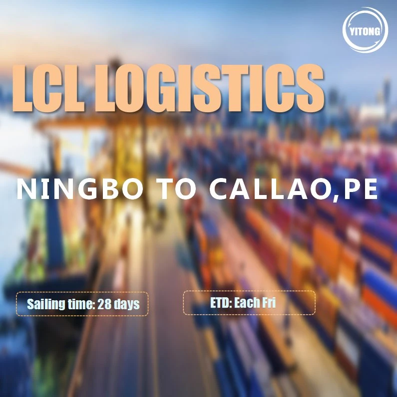 LCL sea Shipping desde Shenzhen Ningbo Qingdao al puerto Au Príncipe Haití