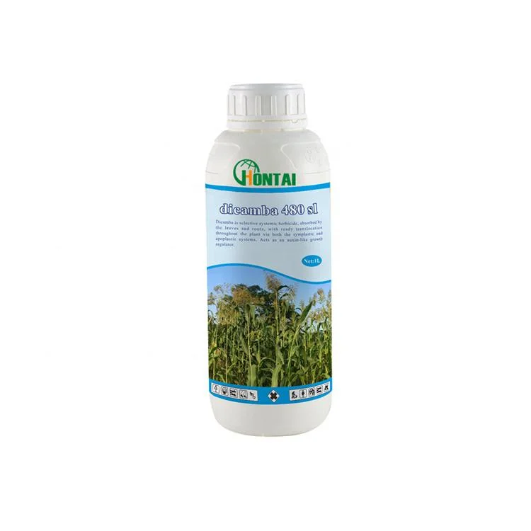 Агрохимических гербицидов Dicamba 480g/L SL сорняков контроля