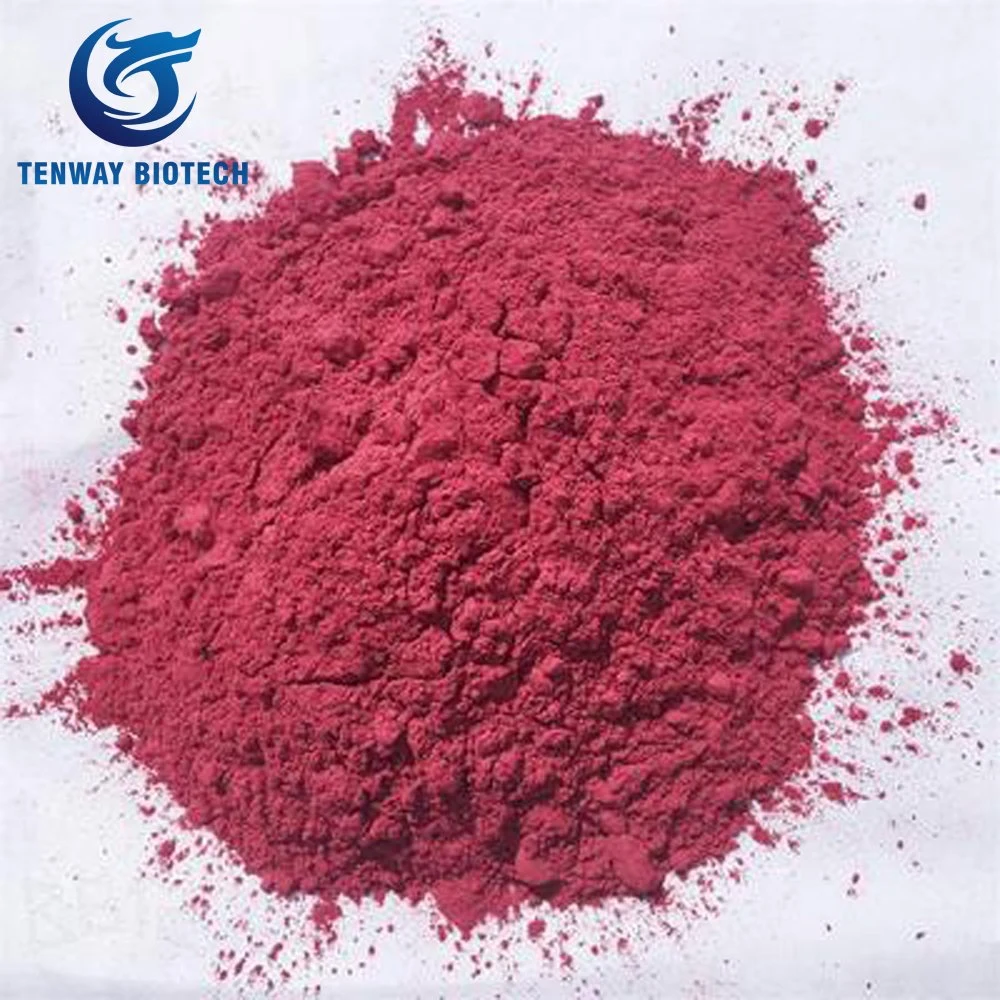 100% Pure Natural Food Colorant Beet-Root Concerntrated Juice Powder for Health Product