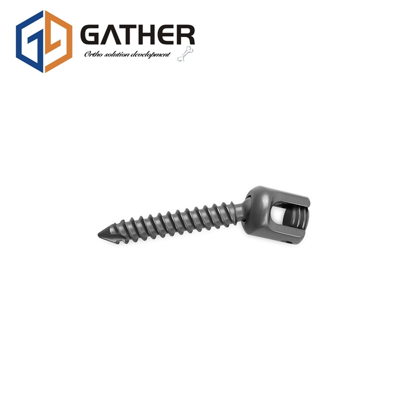 Jiangsu Titanium Gather Sterilized, PE Bag, Carton Package Orthopedic Spinal Fixation Pedicle Screw Implant