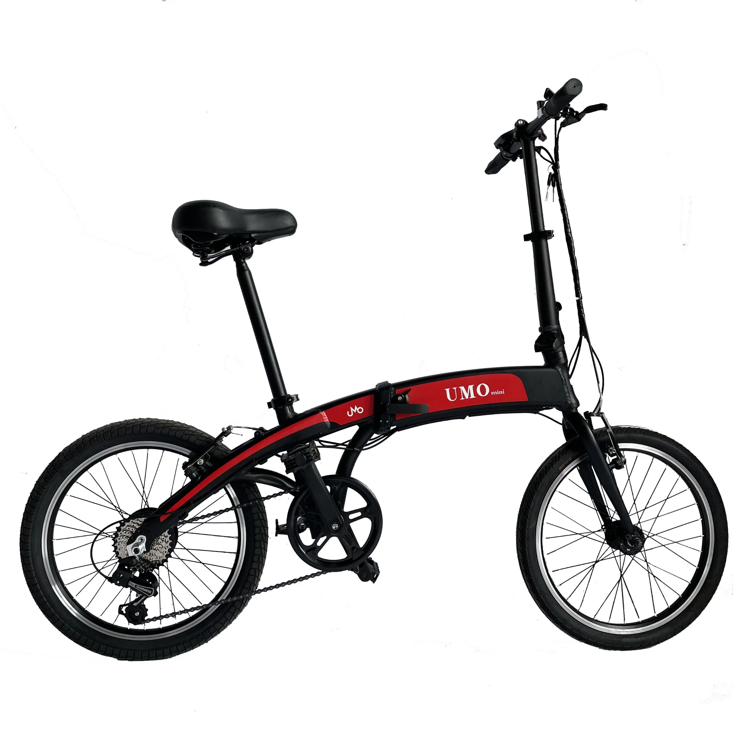 Electric City Folding Bicycle with 36V 250W Motor Ebike CE FCC Certificates Available