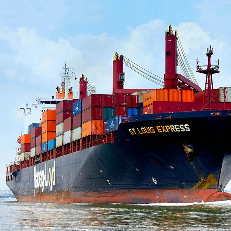 Sea Shipping Fba Shipping Service From China to Mexico