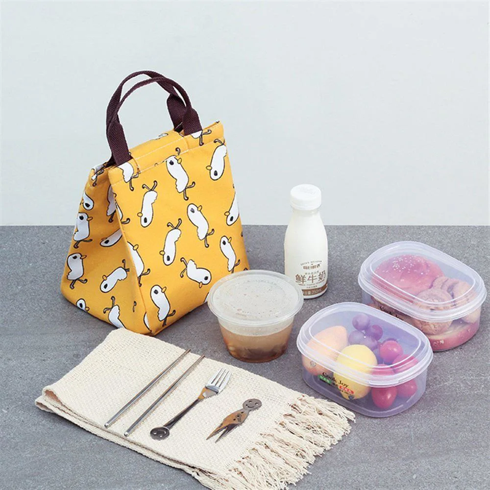 Promotion Fashion Portable Cute Tote Lunch Box Waterproof Insulation Picnic Cooler Bag OEM ODM Custom