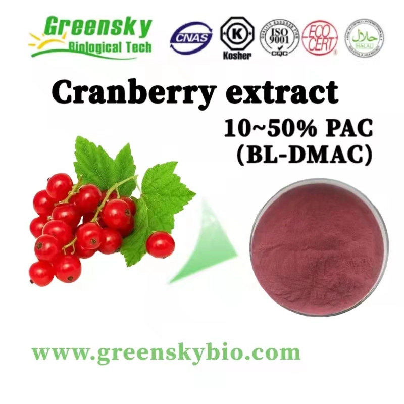 Natural Cranberry Extract 10~50% PAC (BL-DMAC) Plant Extract Herbal Extract Food Additive