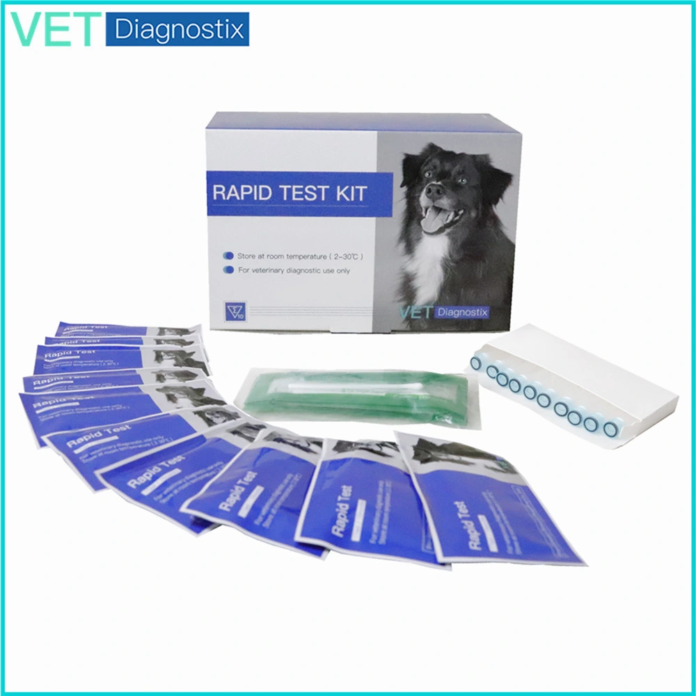 Cpv Cdv Test Canine Parvo Distemper Antibody Rapid Test

Test rapide d'anticorps contre la parvovirose et la maladie de Carré chez les chiens