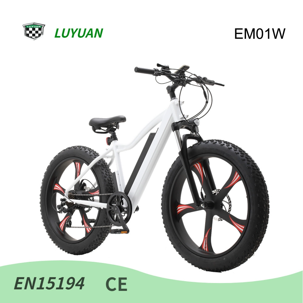 Em01W MTB 500W Hub Motor Electric Mountain Bike