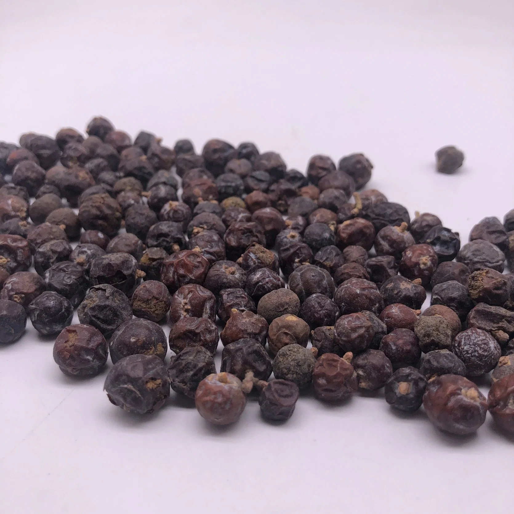 Du Song Zi Juniperus Communis Linnaeus Herbal Fruit Juniper Berry