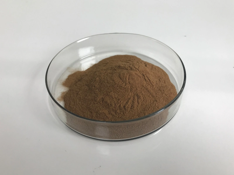 ISO Certified Manufacturer Bulk Stock Natural Powder Hovenia Dulcis Extract