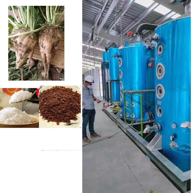 Mini Beet Sugar Manufacturing Plant Sugarbeet Plant Mini Sugarcane Factory Mini Sugar Production Line