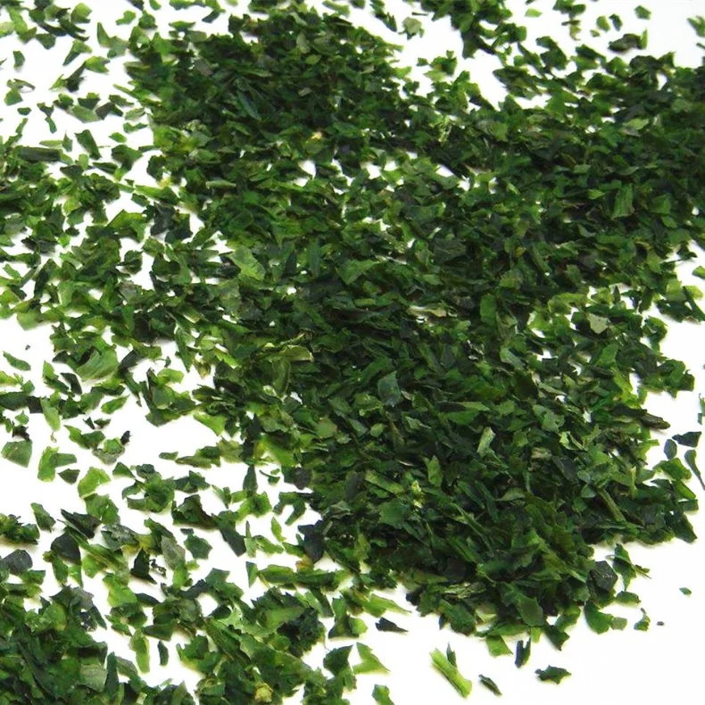 Agriculture Food Green Dried Ulva Lactuca for Making Sushi