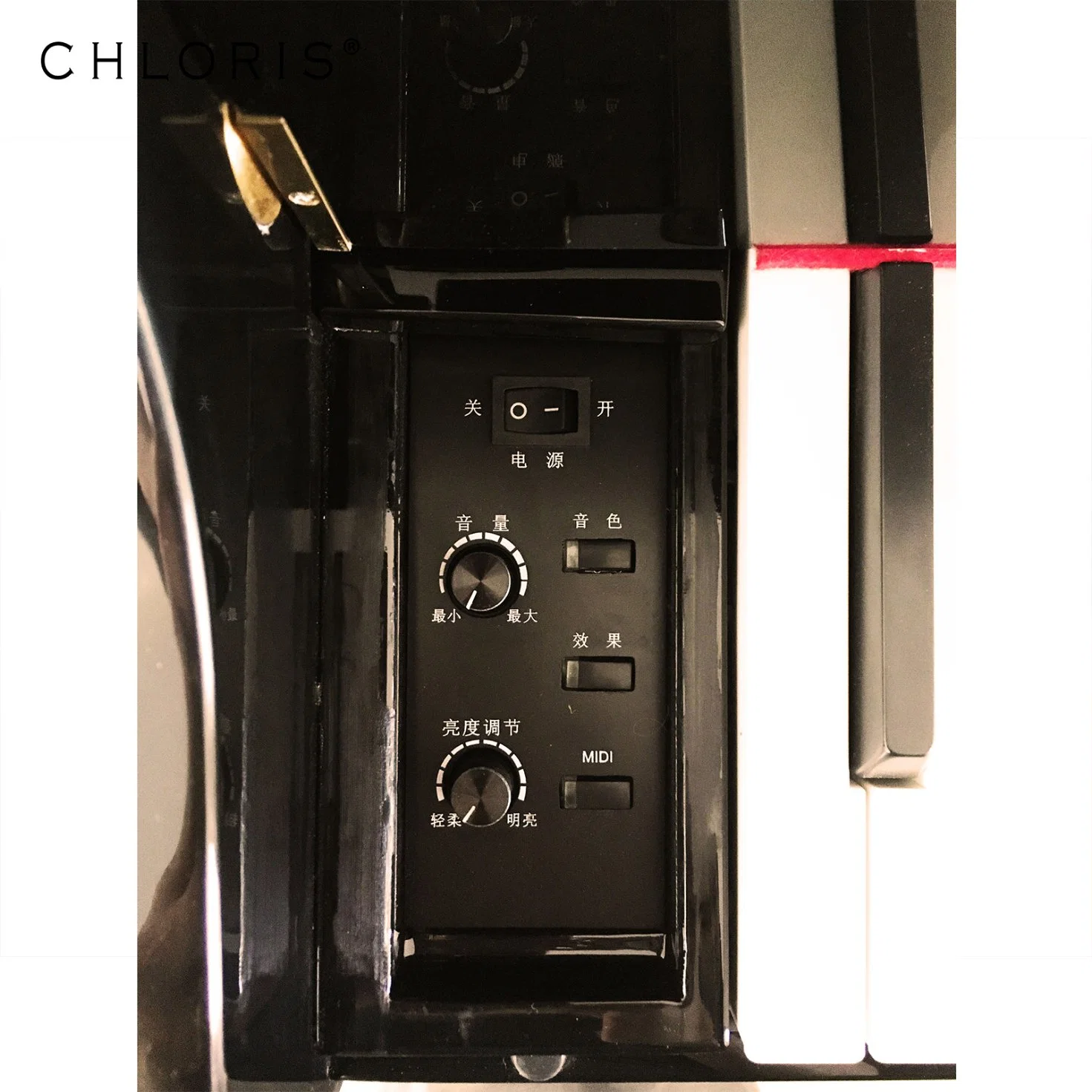 Chloris Piano Numérique à Prix Abordable, Coque de Piano Électronique Cdg-152y