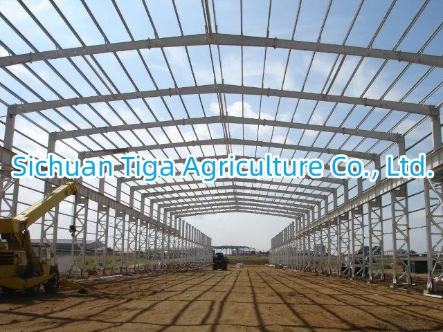 Light Weight Steel Structure with Convenient Construction Made in China