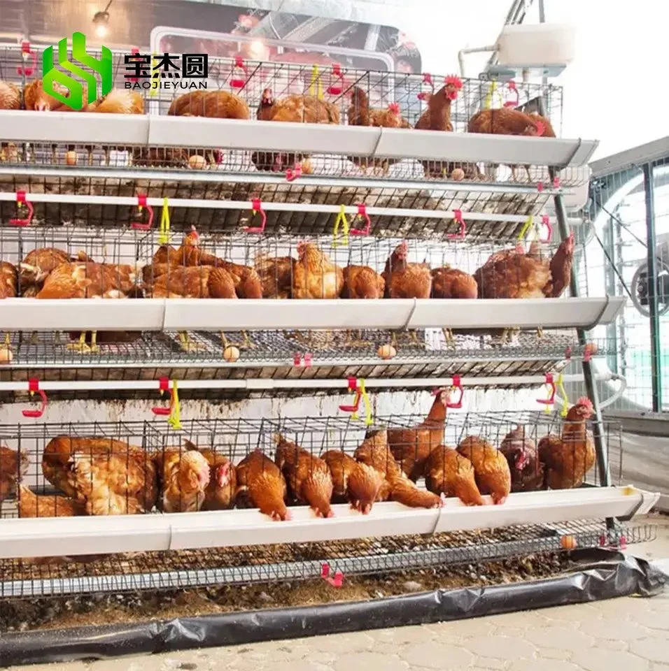 Poultry Farm Galvanized Egg Laying Hens Baterry Layer Automatic Chicken Cage